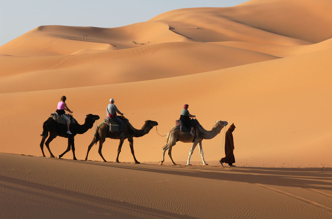 Exclusive camels tours through the deserts of Sauidi Arabia