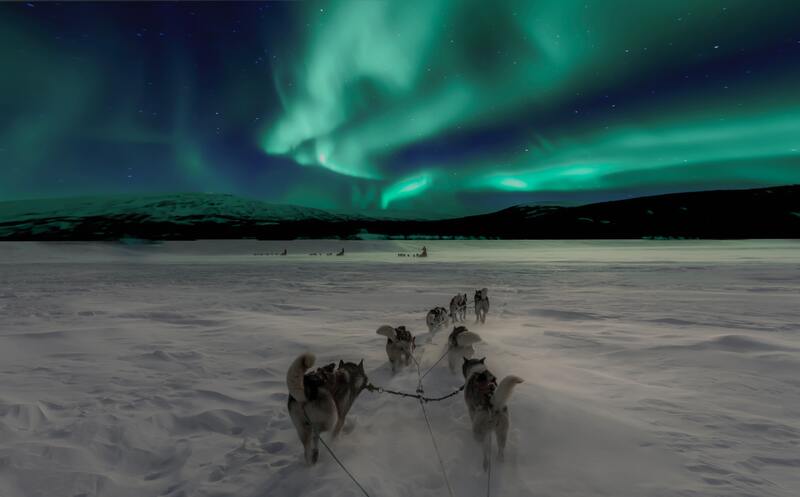 Private dog-sledding tour under the Aurora Borealis